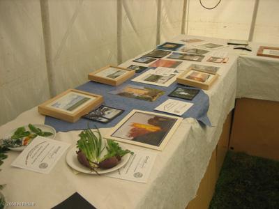 Village_Show_2008009-2